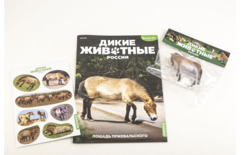 Дикие животные России № 44: Лошадь Пржевальского
