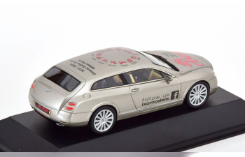 BENTLEY Continental Flying Star toy fair Nuernberg (2024), silver