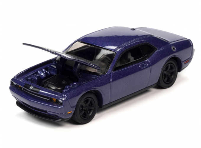 DODGE Challenger R/T (2010), purple