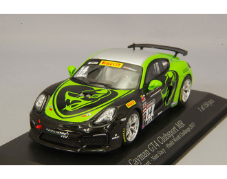 PORSCHE Cayman GT4 Clubsport MR #14 Nate Stacy Pirelli World Challenges GTS *Resin Series* (2017), black/green