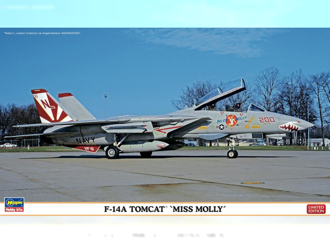 Сборная модель F14A Tomcat Miss Molly Limited Edition