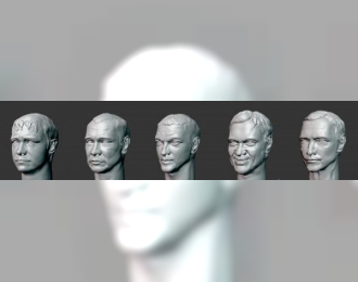 Головы (с волосами) №29