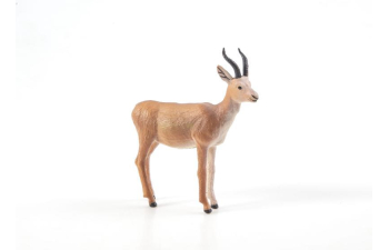 Дикие животные России № 17: Джейран