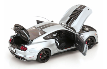FORD Mustang Shelby GT 500, silver black