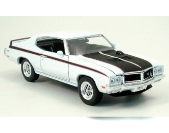 BUICK GSX (1970), white/black