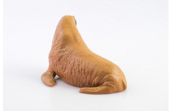 Дикие животные России № 21: Морж (только вложение)