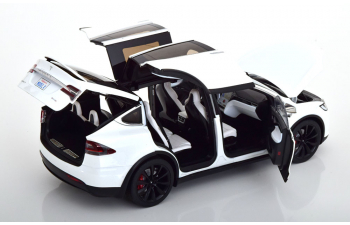 TESLA Model X P100D, white-metallic