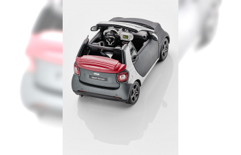 SMART ForTwo Cabriolet A453 (2016), titania grey mat. / cool silver