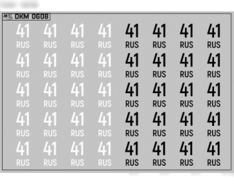 Набор декалей Дублирующие знаки России Камчатский край (100х70)