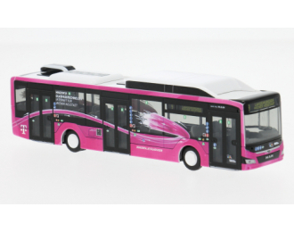 MAN Lions City 12 Wiener Neustadt - Magenta (2018), pink