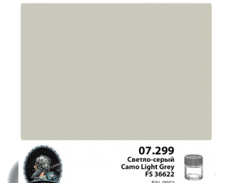 Краска спиртовая Светло-серый Camo Light Grey FS 36622, 10мл
