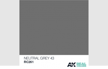 Neutral Grey 43