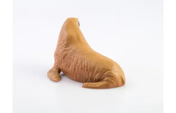 Дикие животные России № 21: Морж