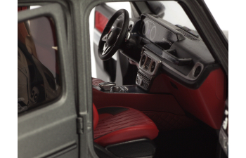 MERCEDES-BENZ W463 G-Klasse W463 II (2018), designo platinum magno