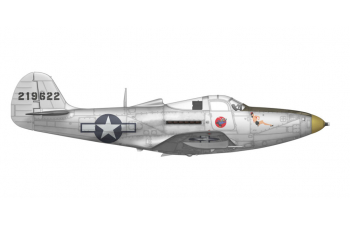 Сборная модель P-39 Airacobra RECON