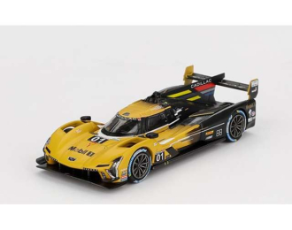 Cadillac V-Series.R #01 Cadillac Racing IMSA Sebring 12 Hrs, yellow/black 2024