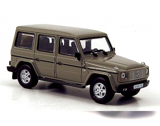 MERCEDES-BENZ G 500 V8 (1993), gray