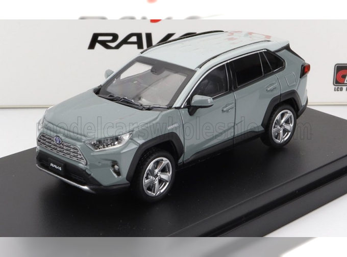 TOYOTA Rav4 Hybrid 2023, Grey