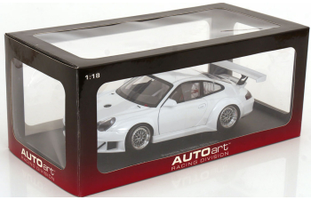 PORSCHE 911 (996) GT3 RSR Plain Body Version (2005), white