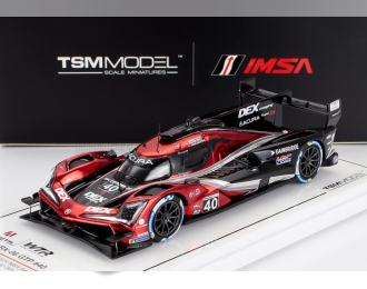 ACURA - ARX-06 GTP 2.4L TWIN TURBO V6 TEAM WAYNE TAYLOR RACING ANDRETTI N 40 WINNER IMSA 12h SEBRING 2024 LOUIS DELETRAZ - COLTON HERTA - JORDAN TAYLOR - RED MET BLACK