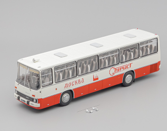 IKARUS 255.70 амарант