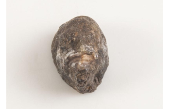 Выпуск №27. Камни и минералы. Тайны недр, Жеода халцедона