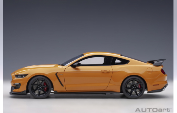 Ford Shelby Mustang GT 350 R (fury orange)