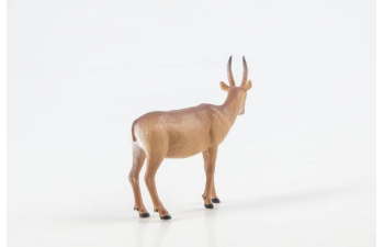 Дикие животные России № 23: Сайгак (только вложение)