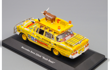 MERCEDES-BENZ 220Sb "Bush Bash", yellow