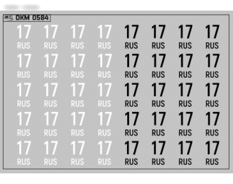 Набор декалей Дублирующие знаки России Республика Тыва (100х70)