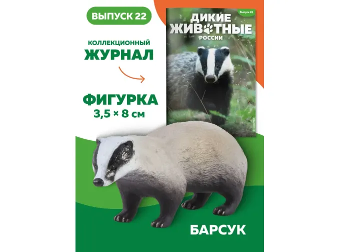 Дикие животные России № 22: Барсук